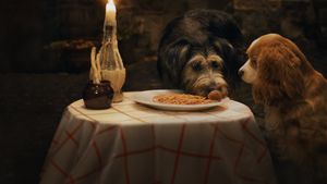 Lady and the Tramp's poster