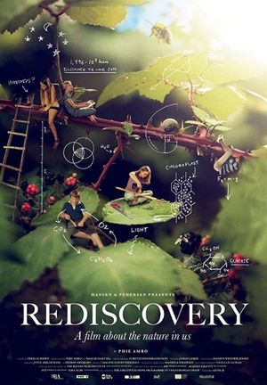Rediscovery's poster