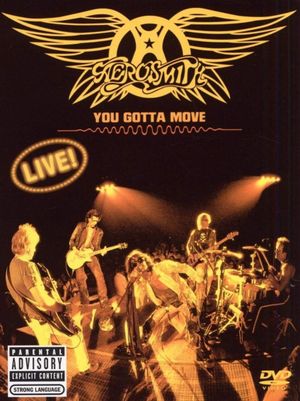Aerosmith - You Gotta Move's poster