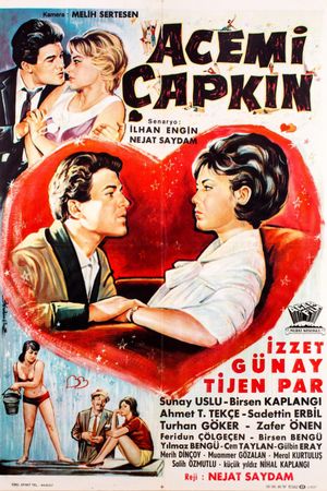 Acemi çapkin's poster image