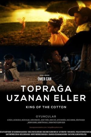 King of the Cotton's poster