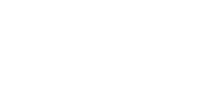 Brave's poster