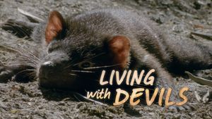 Living with Devils's poster