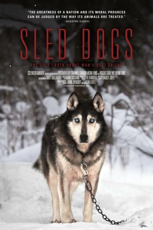 Sled Dogs's poster