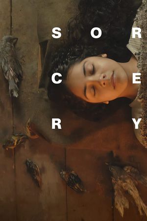 Sorcery's poster