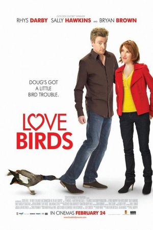 Love Birds's poster