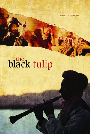 The Black Tulip's poster