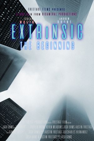 Extrinsic: The Beginning's poster