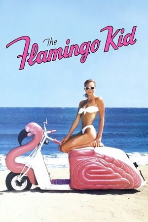 The Flamingo Kid's poster