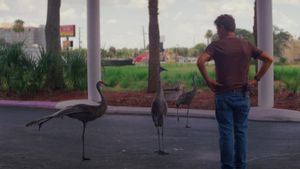 The Florida Project's poster