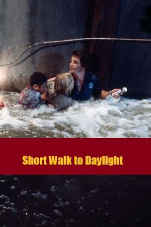 Short Walk to Daylight's poster