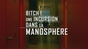 Bitch! Une incursion dans la manosphère's poster