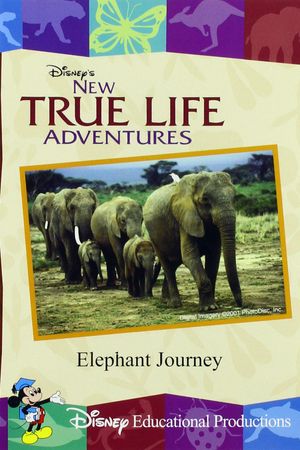 Elephant Journey's poster image