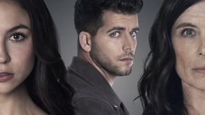 Family Seductions's poster