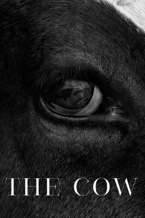 The Cow's poster