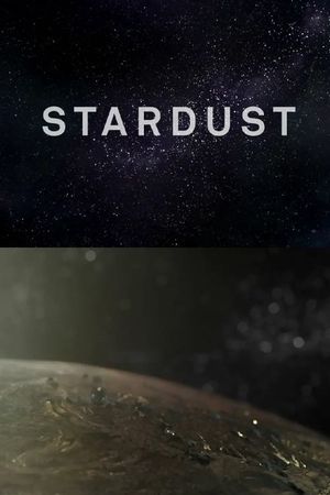 Stardust's poster