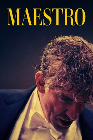 Maestro's poster