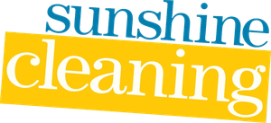 Sunshine Cleaning's poster