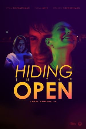 Hiding in the Open's poster