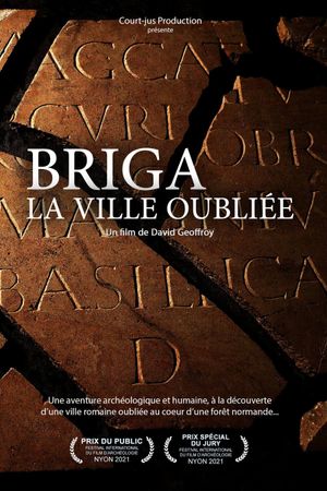 Briga, la ville oubliée's poster