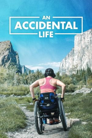 An Accidental Life's poster