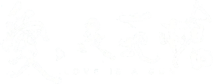 Love Is a Gun's poster