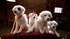 Santa Paws 2: The Santa Pups's poster