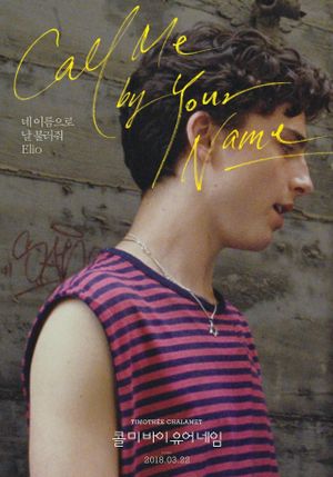 Call Me by Your Name's poster