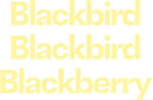 Blackbird Blackbird Blackberry's poster