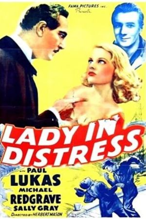 Lady in Distress's poster