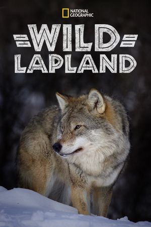 Wild Lapland's poster