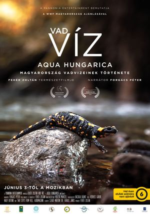 Vad víz - Aqua Hungarica's poster