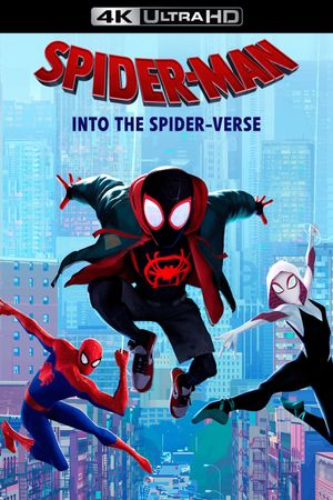 Spider-Man: Into the Spider-Verse's poster