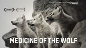 Medicine of the Wolf's poster