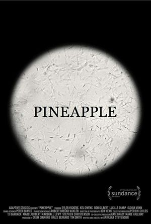 Pineapple's poster