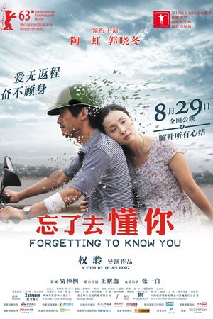 Forgetting to Know You's poster