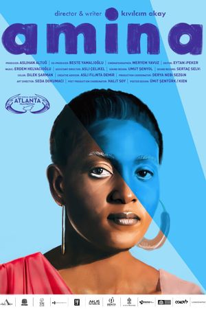 Amina's poster