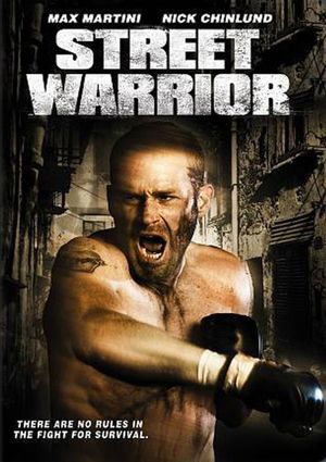 Street Warrior's poster