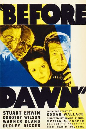 Before Dawn's poster