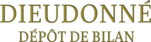 Dieudonné - Dépôt de bilan's poster