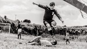 The Referee's poster
