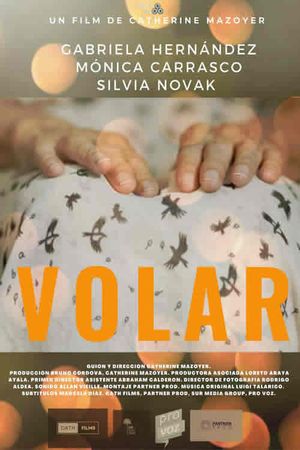 Volar's poster