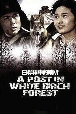 A Post in White Birch Forest's poster