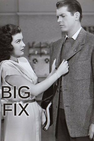 The Big Fix's poster