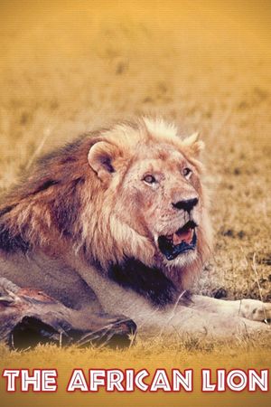 The African Lion's poster
