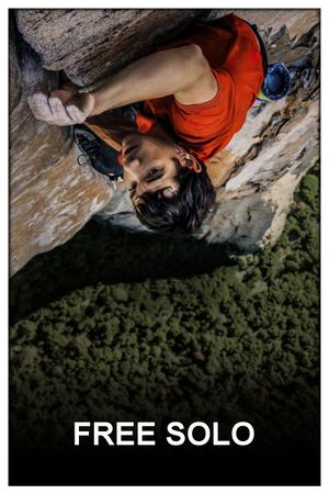 Free Solo's poster