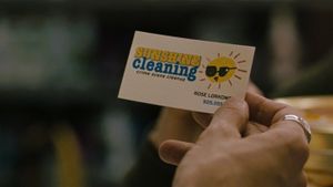 Sunshine Cleaning's poster