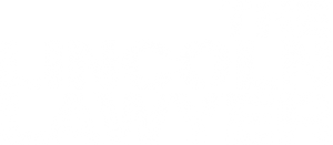 The Lincoln Lawyer's poster