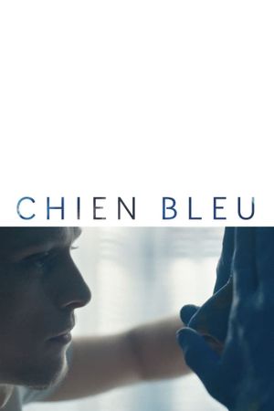 Blue Dog's poster