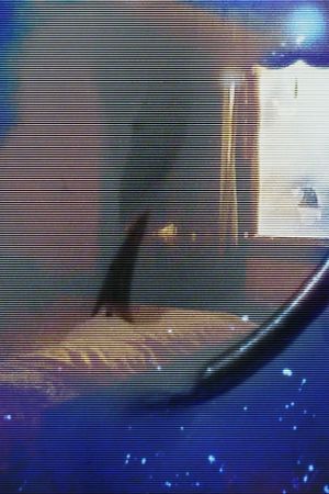 the house was there before me's poster